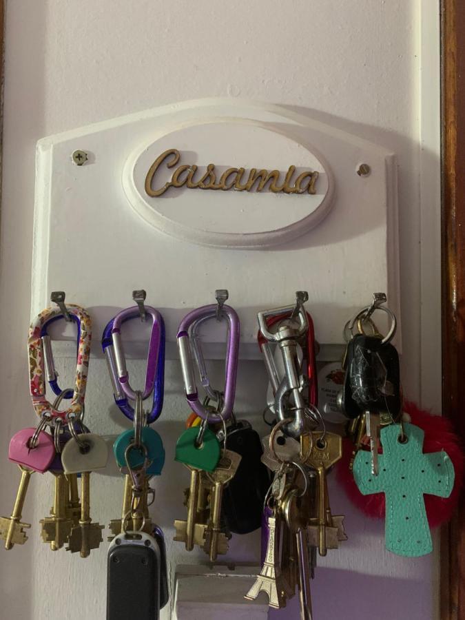 Casamía Mansarda Apartment Bahia Blanca Bagian luar foto